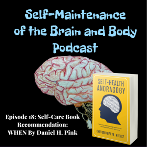 Episode 18: Self-Care Book Recommendation: WHEN by Daniel H. Pink