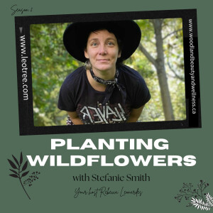 Planting Wildflowers with Stefanie Smith
