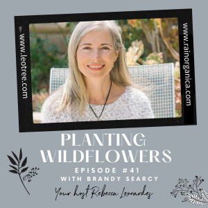 Planting Wildflowers with Brandy Searcy