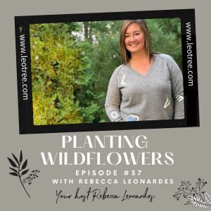 Planting Wildflowers with Rebecca Leonardes