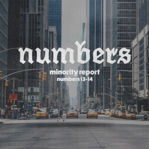 Numbers Part 3: "Minority Report"