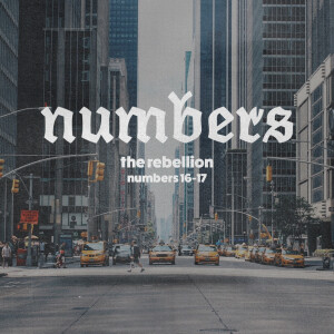 Numbers Part 4: "The Rebellion"