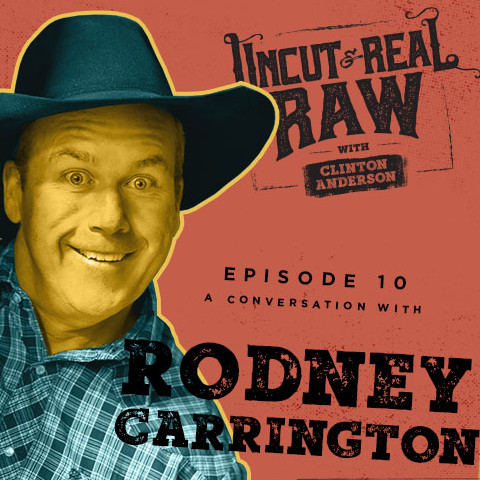 cover of episode Ep 10: A Conversation With Rodney Carrington