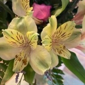 10/23/24 Eileen M-God Working in Your Life