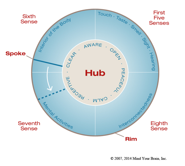 Calming down before we carry on: healing the parasympathetic nervous system