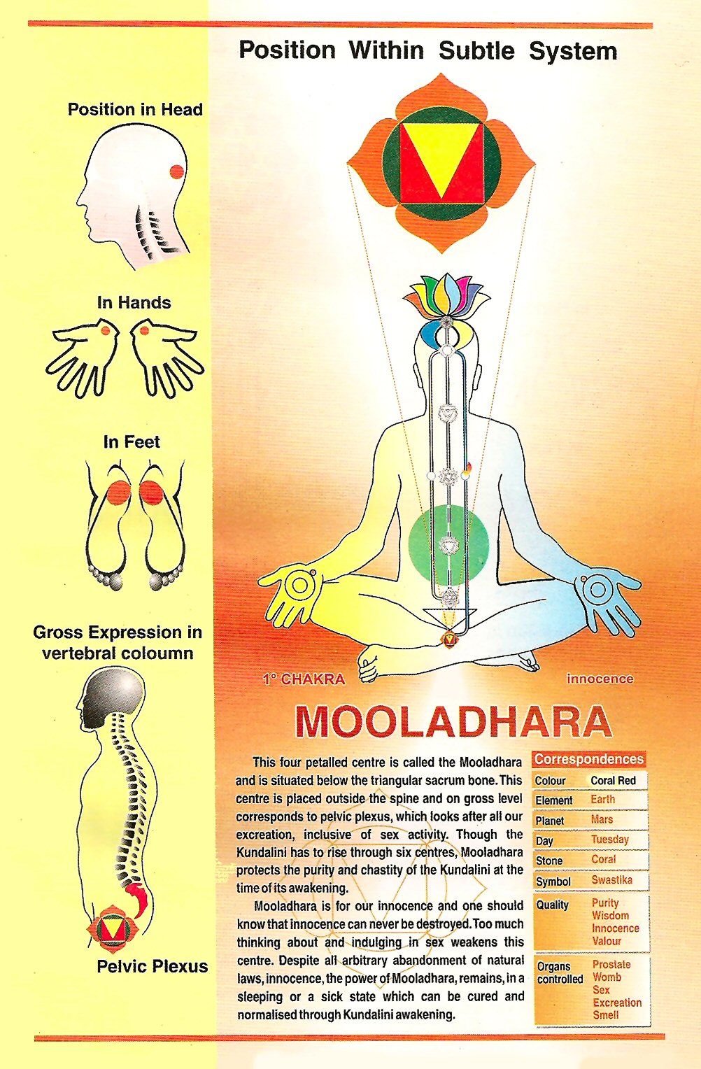 Getting to the Root of It: exposing our culture's Root Chakra Epidemic