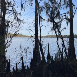 The Orkokisak Native People of the Houston Area