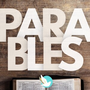 The Comment Section of Facebook | The Parable of the Sower
