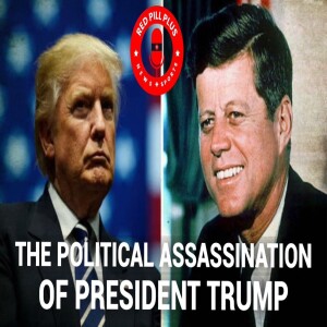 The Political Assassination of President Trump