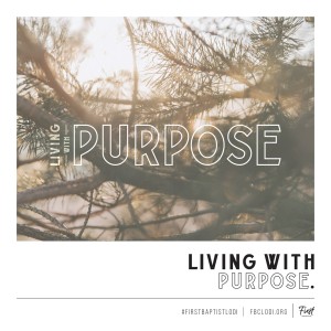 Living With Purpose - Pastor Steve Newman (2020-12-27)