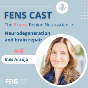 Neurodegeneration and brain repair: the secrets of Inês Araújo’s research