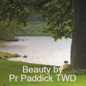 Beauty by Pr Paddick TWD LDMI