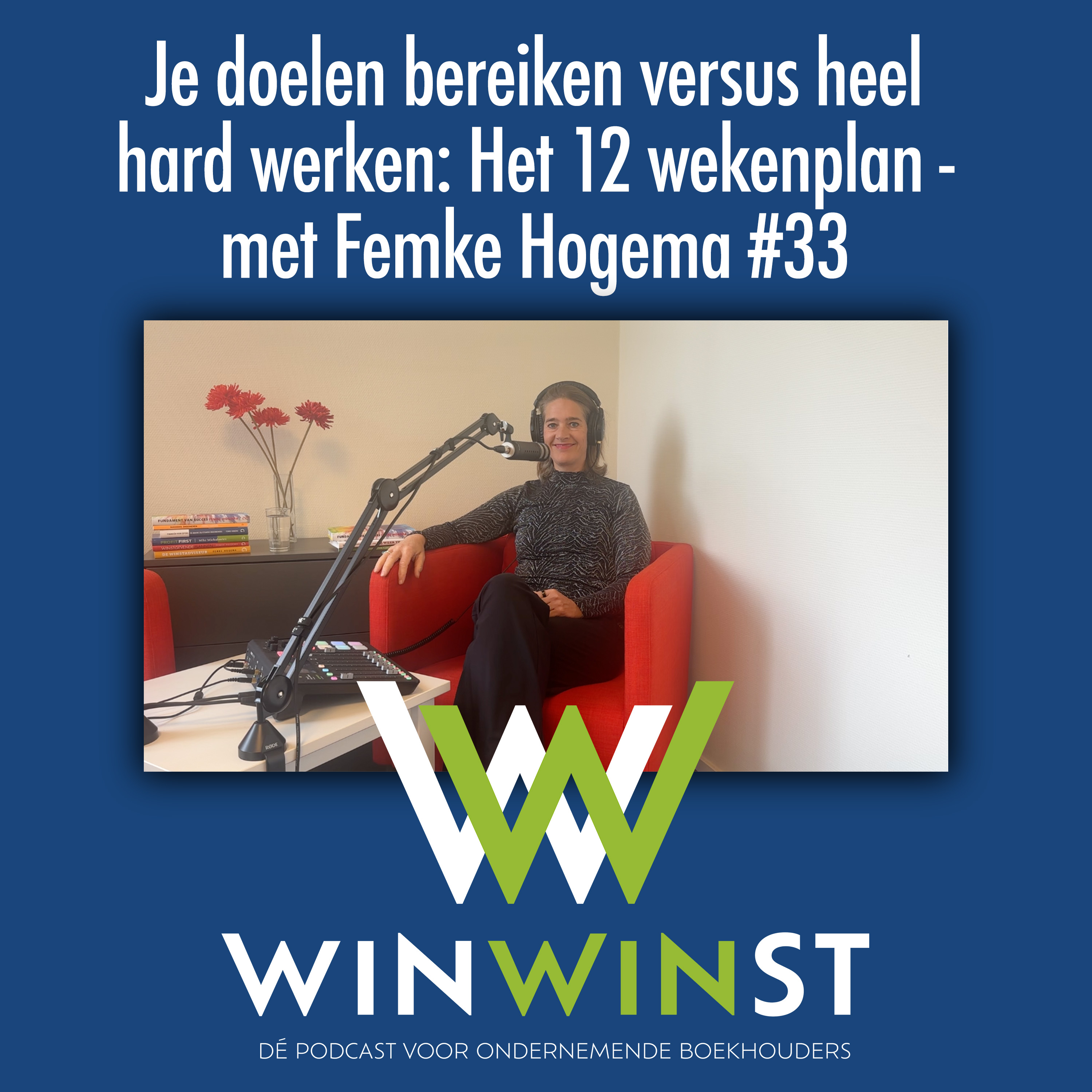 WinWinst Podcast. Geld - Ondernemerschap - Mindset