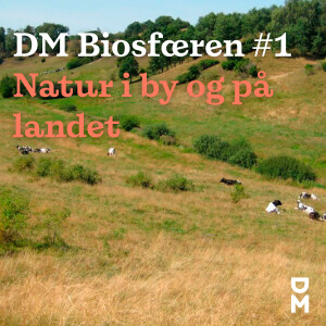 DM BIOsfæren #1: Giv naturen en chance – på landet og i byen