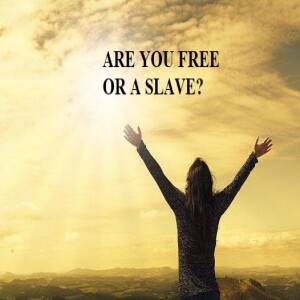 ARE YOU FREE OR A SLAVE