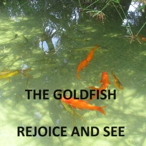 THE GOLDFISH  - AUDIO ONLY