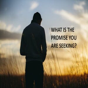 What is the promise you are seeking