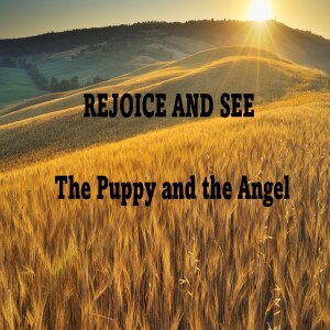 THE PUPPY AND THE ANGEL  - AUDIO ONLY