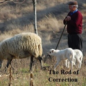 WHAT IS THE ROD OF CORRECTION