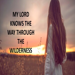 MY LORD KNOWS THE WAY THROUGH THE WILDERNESS
