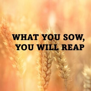 WHAT YOU SOW, YOU WILL REAP (AUDIO ONLY)