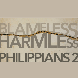 Blameless Harmless