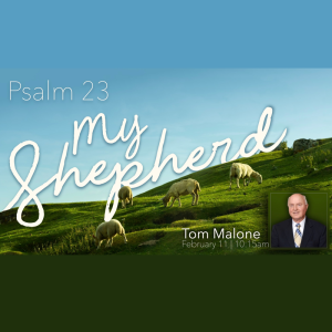 My Shepherd