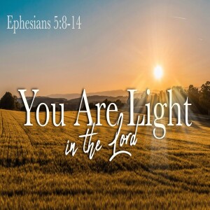 You Are The Light In The Lord