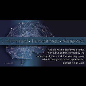 Conformed Transformed Renewed