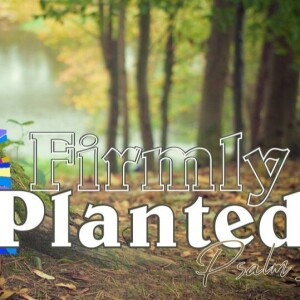 Firmly Planted