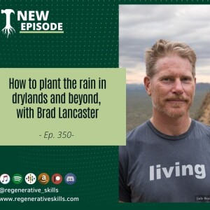 How to plant the rain in drylands and beyond, with Brad Lancaster
