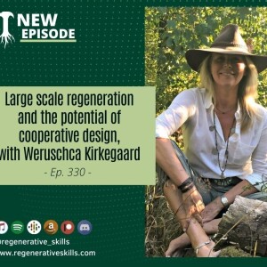 Large scale regeneration and the potential of cooperative design, with Weruschca Kirkegaard
