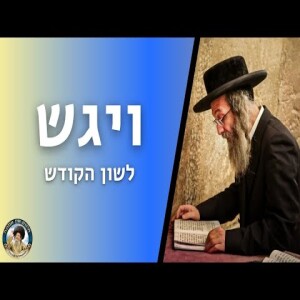 דברים קצרים, ויגש תשפ”ד | מורינו הגה”צ רבי אלימלך בידרמן שליט”א - לשון הקודש