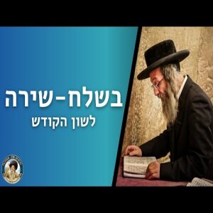 דברים קצרים, בשלח (שירה) תשפ”ד | מורינו הגה”צ רבי אלימלך בידרמן שליט”א - לשון הקודש