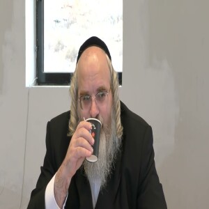 Parashat Vayishlach תשפ”ה | Hamashpia R’ Yitzchok Ahron Goldhirsch Shlita