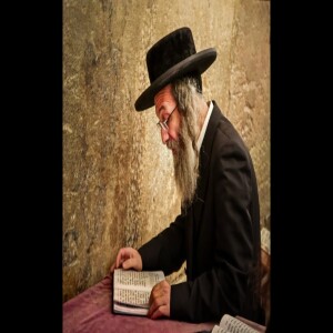 ר’ מיילך בידרמן, קדושת בית מדרש | הכנה לראש השנה, תשפ”ה