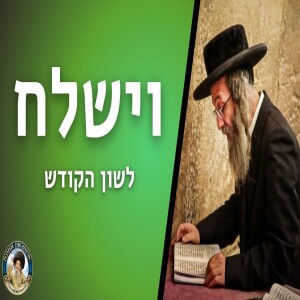 דברים קצרים, וישלח תשפ”ה | מורינו הגה”צ רבי אלימלך בידרמן שליט”א - לשון הקודש