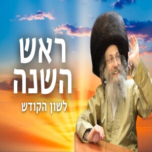 דברים קצרים, הכנה לראש השנה תשפ”ה | מורינו הגה”צ רבי אלימלך בידרמן שליט”א - לשון הקודש