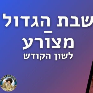 דברים קצרים, שבת הגדול - מצורע תשפ"ד | מורינו הגה"צ רבי אלימלך בידרמן שליט"א - לשון הקודש