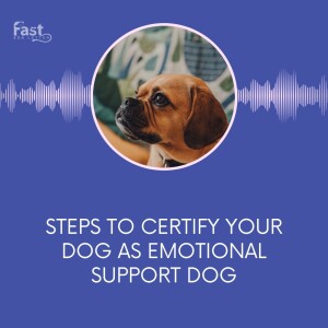 Here’s How You can Certify Your Dog As Emotional Support Dog