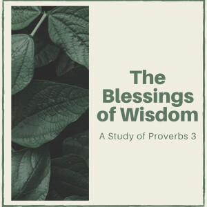 The Blessings of Wisdom: The Lifelong Pursuit of Wisdom