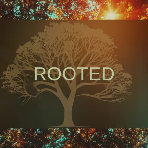 Pastor Sandy: Rooted