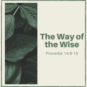 The Way of the Wise