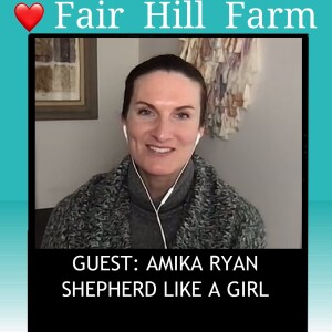 #9: Shepherd like a Girl: Amika Ryan’s Icelandic Sheep at Copia Cove.