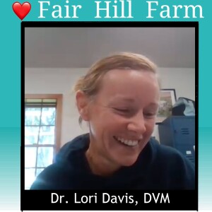 #19: Small Town Vet with a Big Imprint: meet Lori Davis DVM