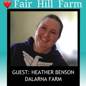 #8: Dalarna Farm: Where Heather’s stories are the biggest product.