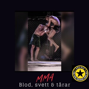 MMA/Blod, svett & tårar - Joakim Engberg #16