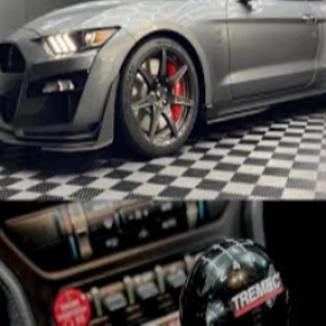 The Manual 2020 GT500 is the manliest car known to man