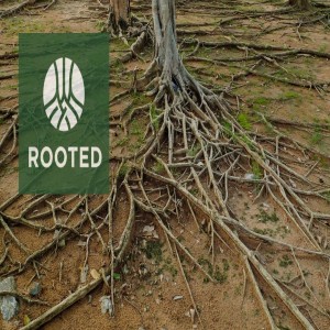 Introducing...Rooted