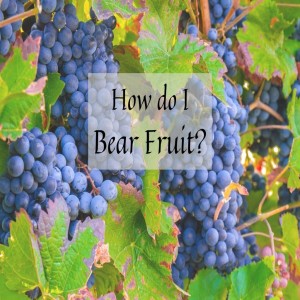 How Do I Bear Fruit?